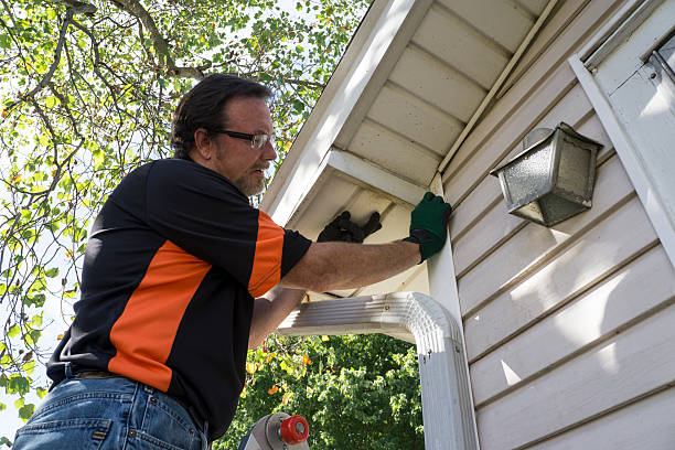 Historical Building Siding Restoration in Olney, IL